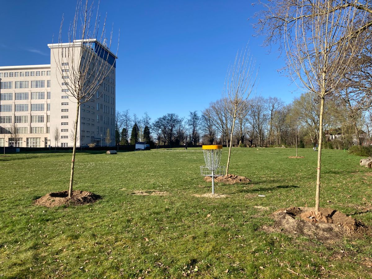 Hole 6 basket