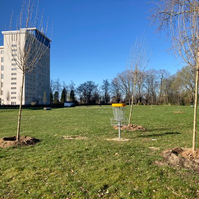 Hole 6 basket
