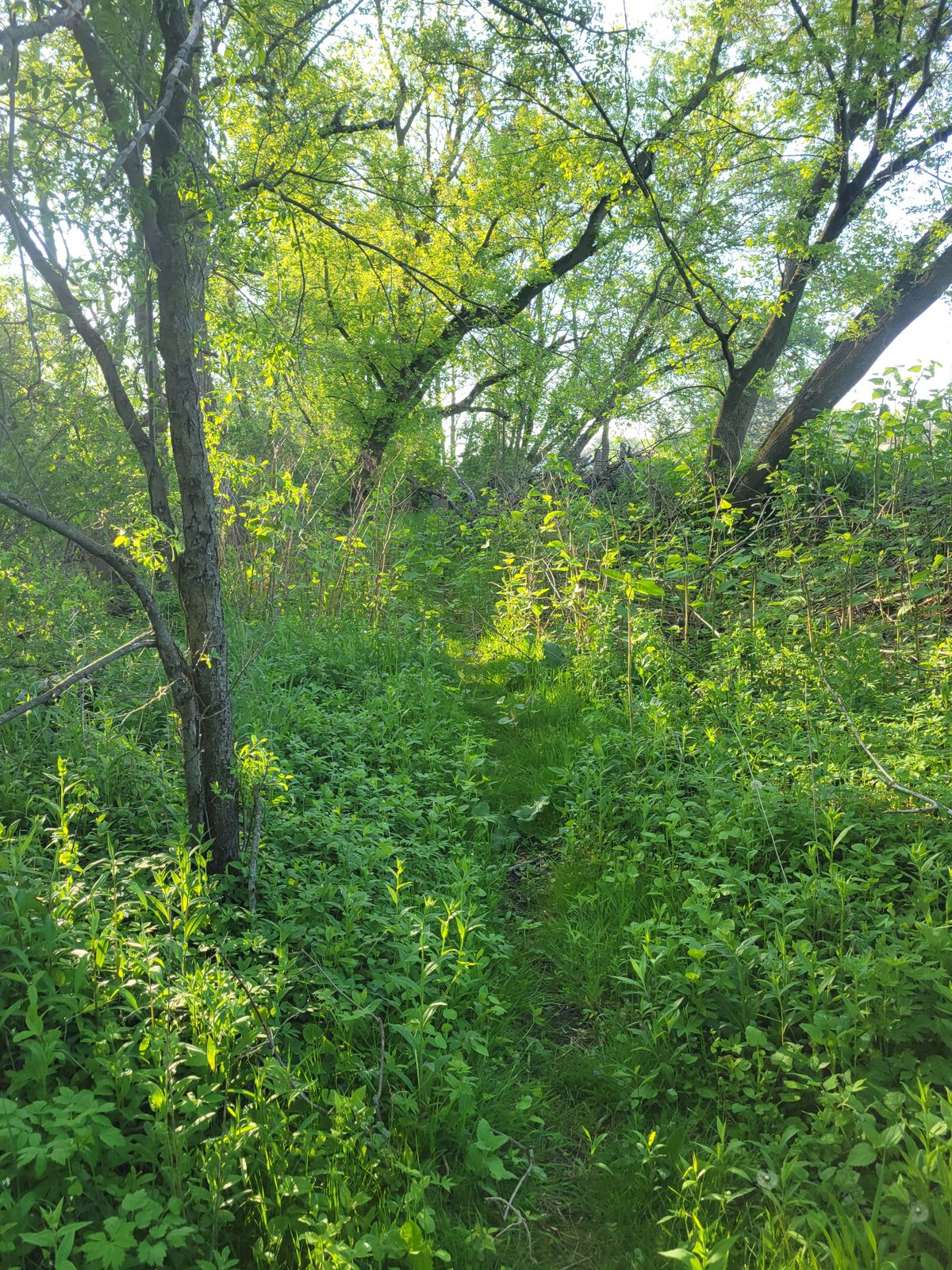 This is a Fairway?