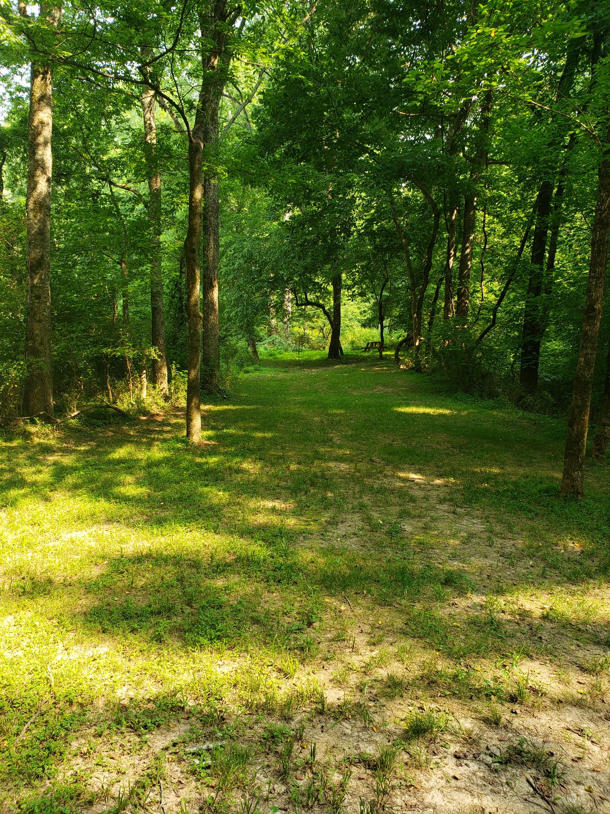 Hole 5 half way down the fairway