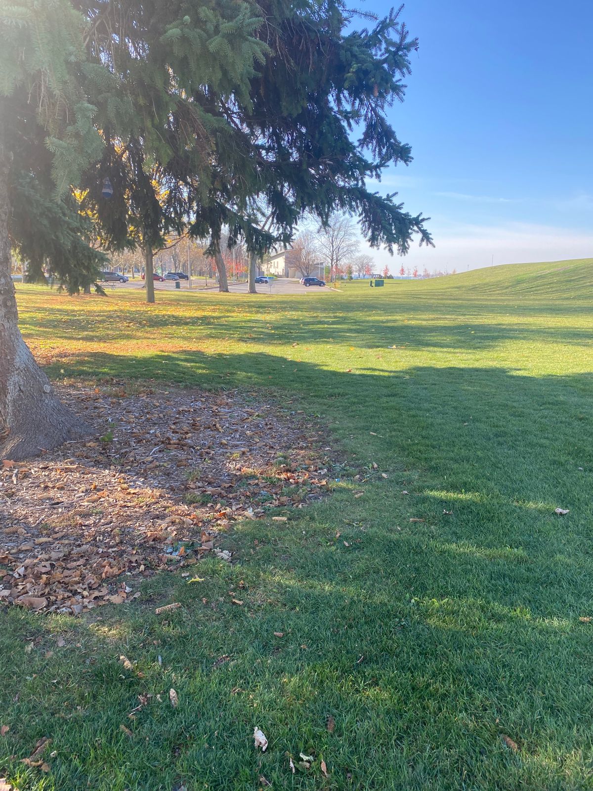 #3 short tee