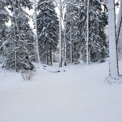 Inspel på hål 2. Approach on hole 2. Aproximación al hoyo 2. 第2洞的接近投掷.