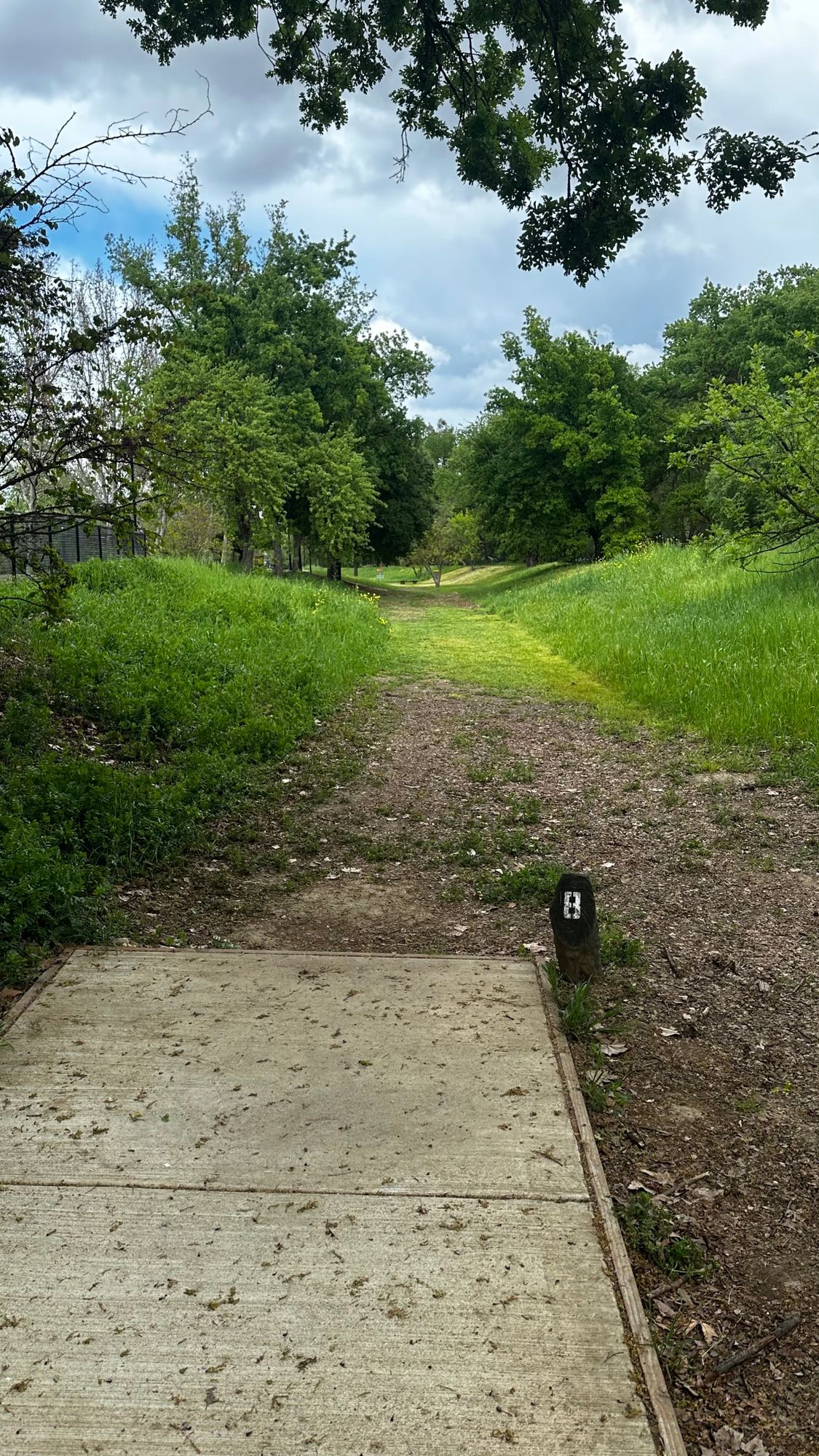 Hole 8/17
