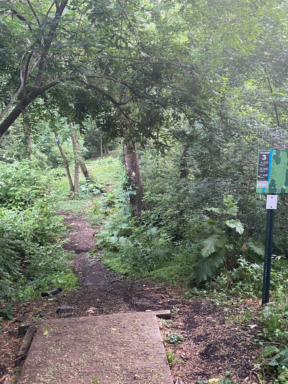 Hole 3