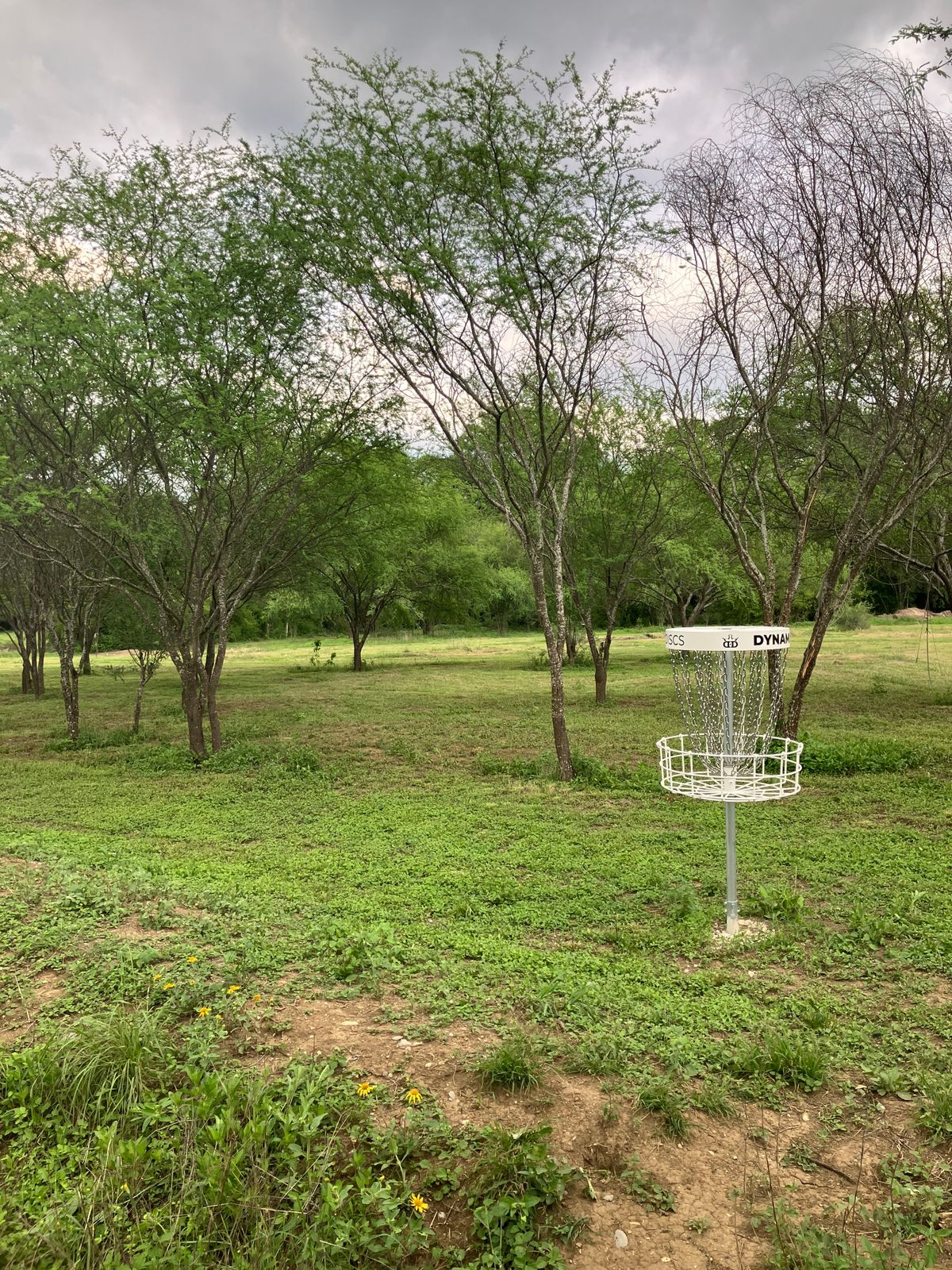 Hoyo 5 campo Disc Golf Montemorelos