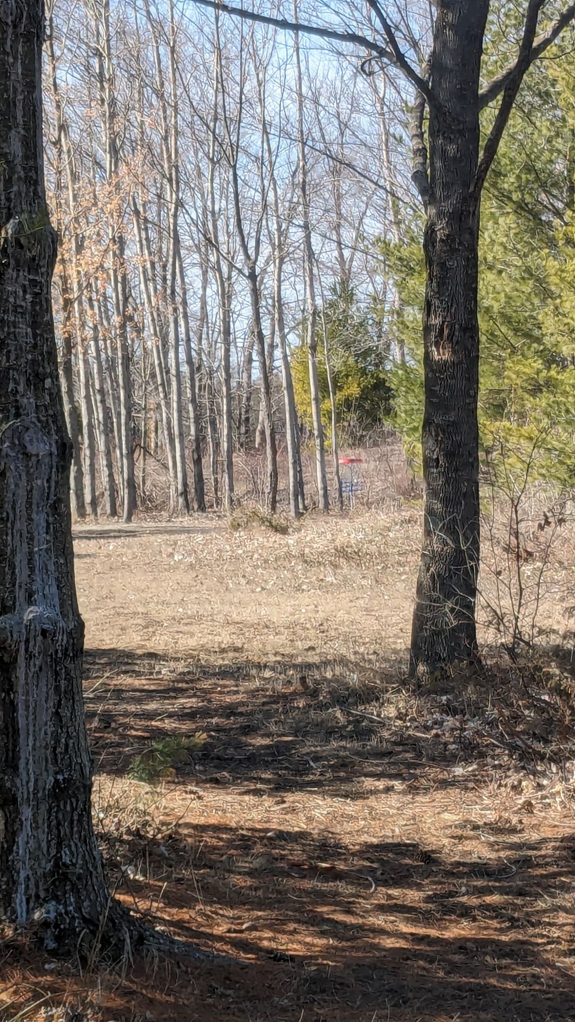 Hole 1-Left to Right Tee Shot