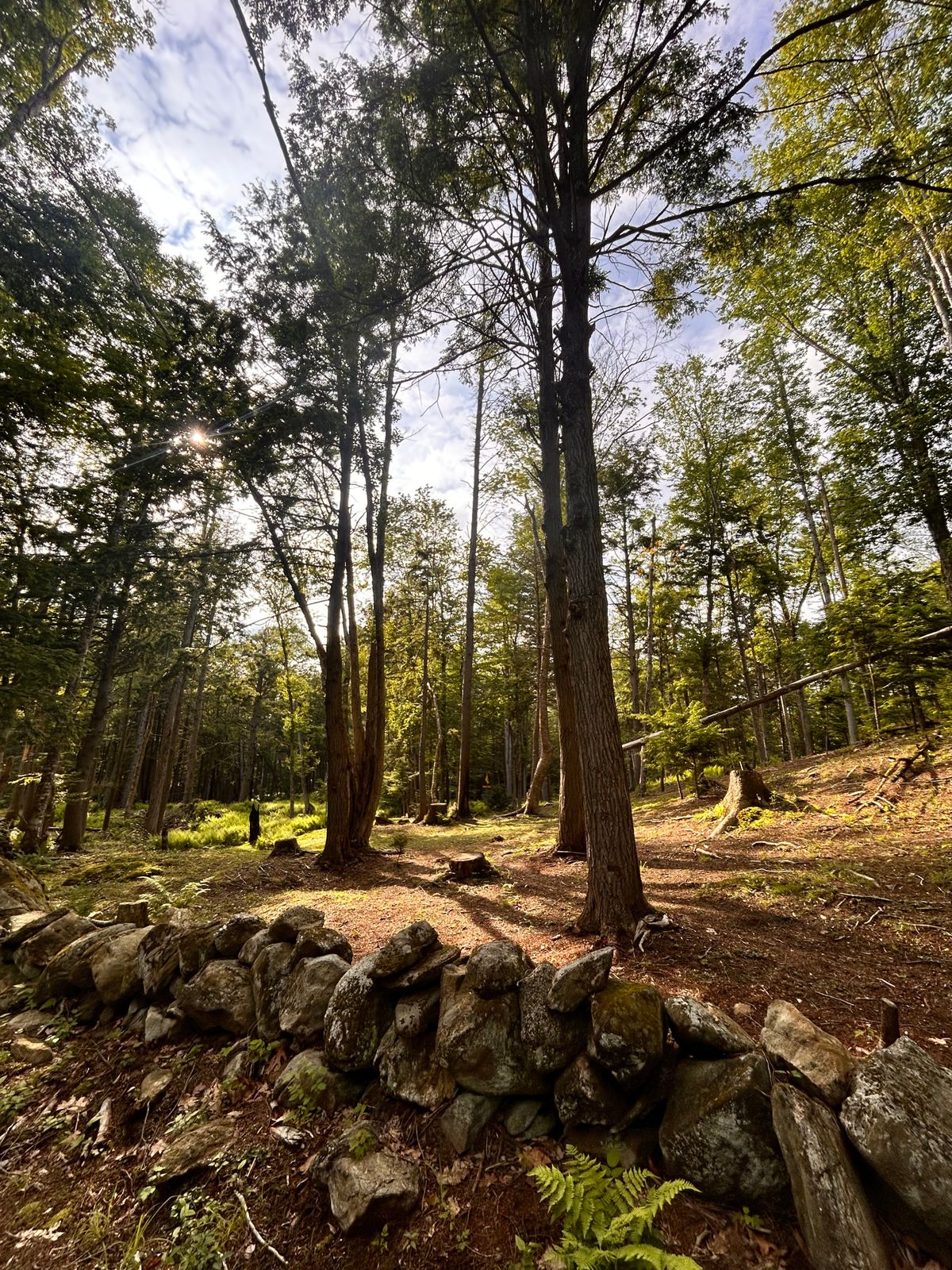 Hole 8 back near the red tee