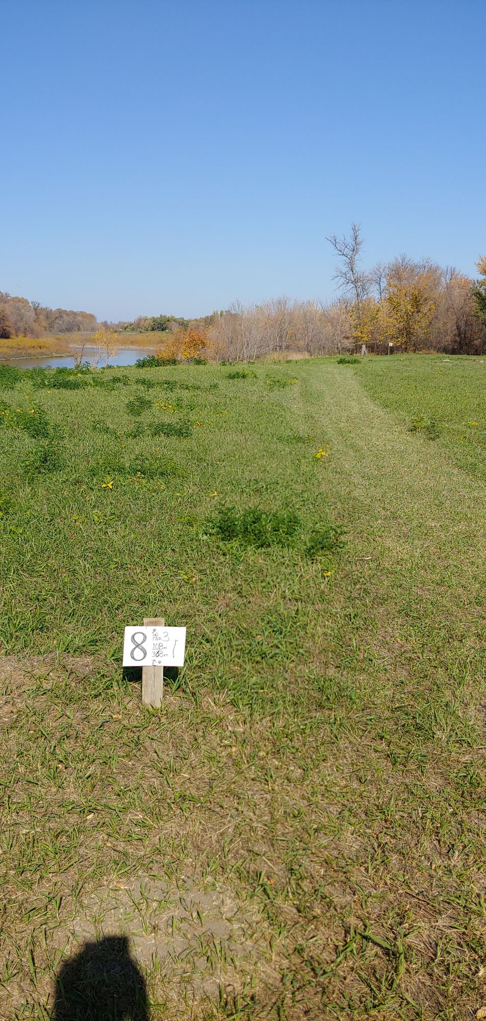 Eighth tee. Pin in the distance, to the right of tall tree.