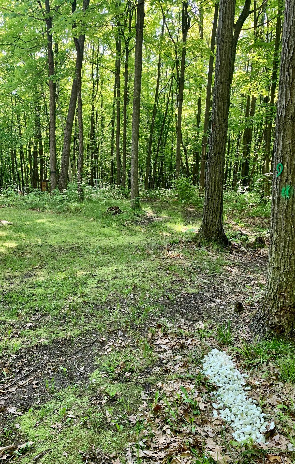 Hole 9
