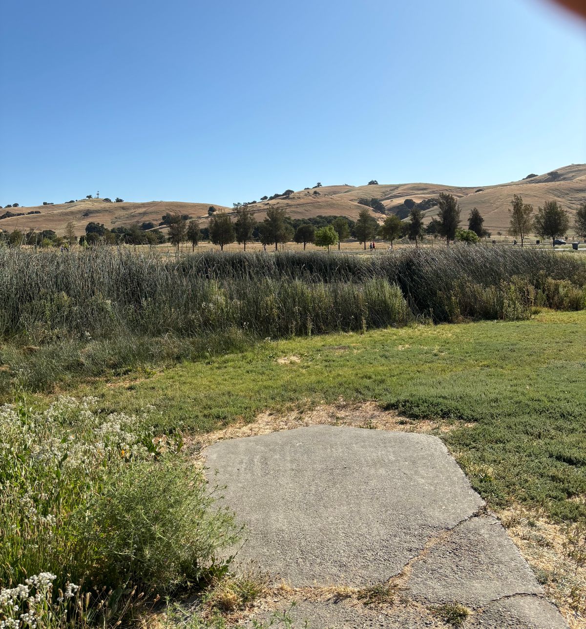 Lagoon Front Hole 10