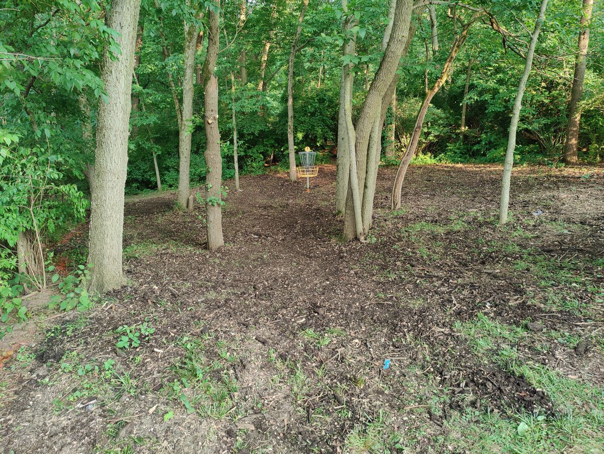 Hole 1 B pin