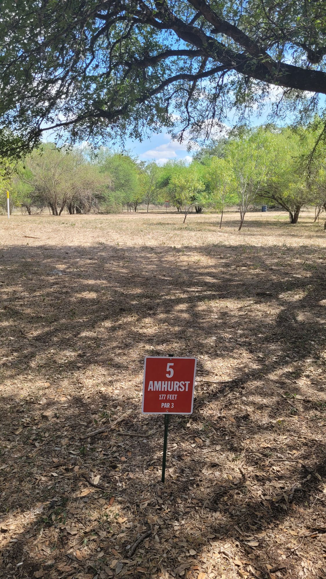 Hole 5