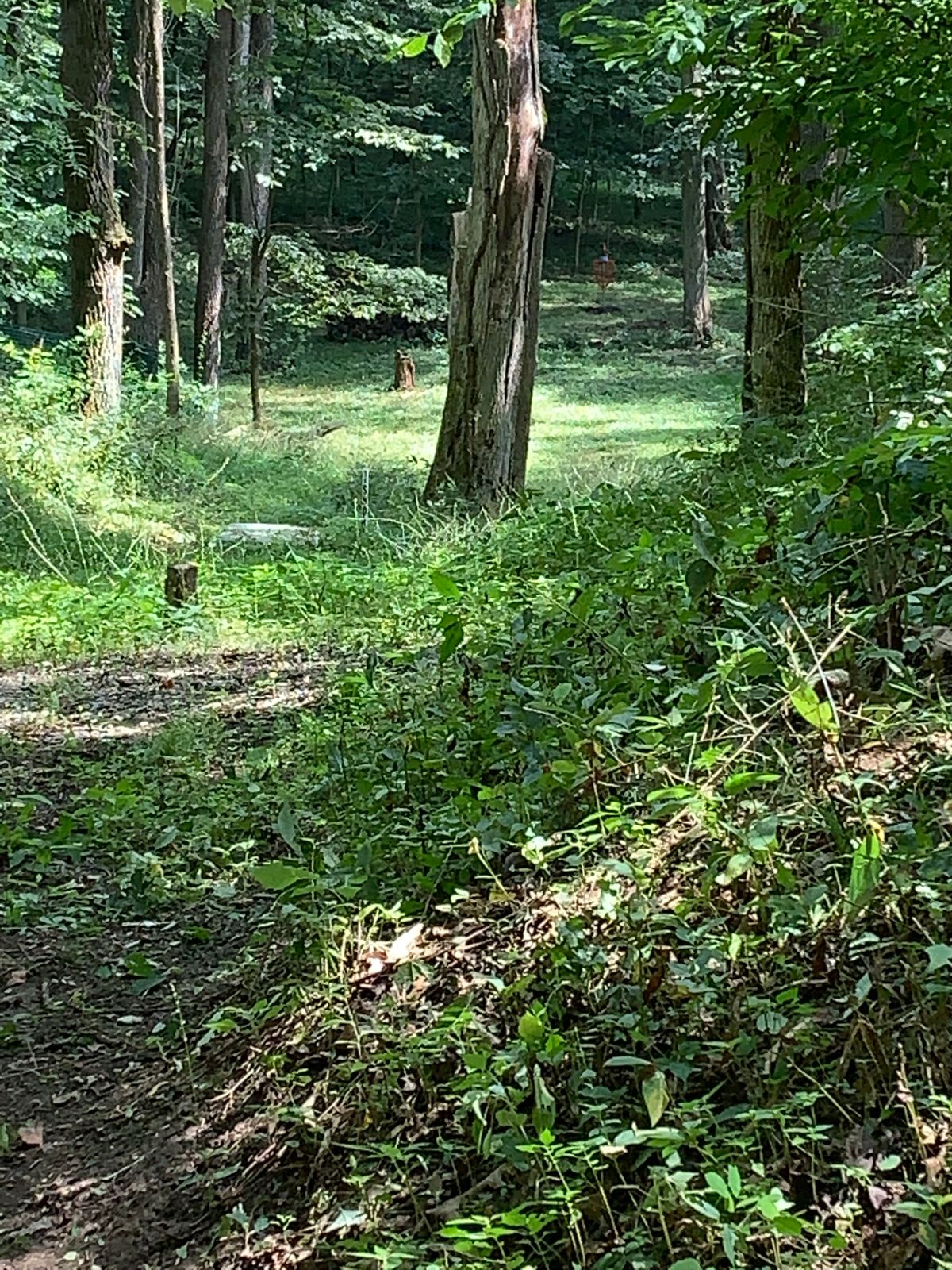#14 from just below teepad.  275 '
