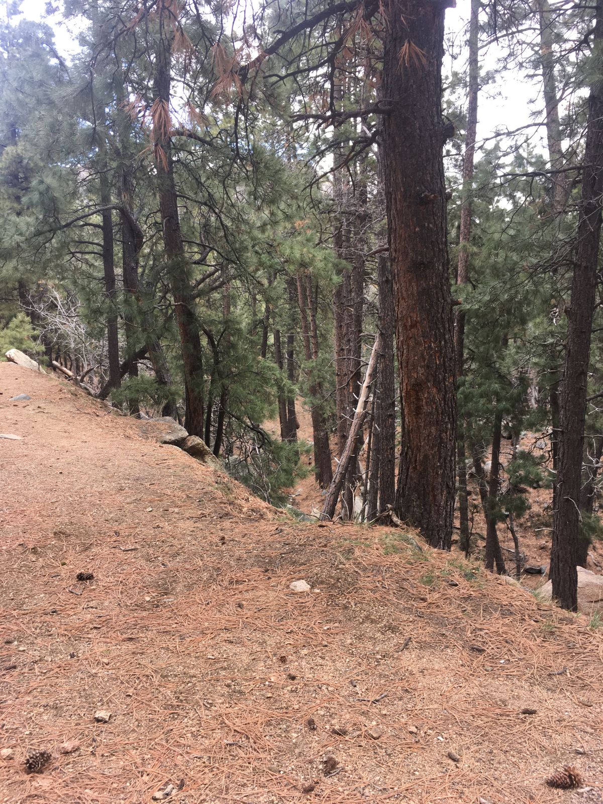 Hole 3