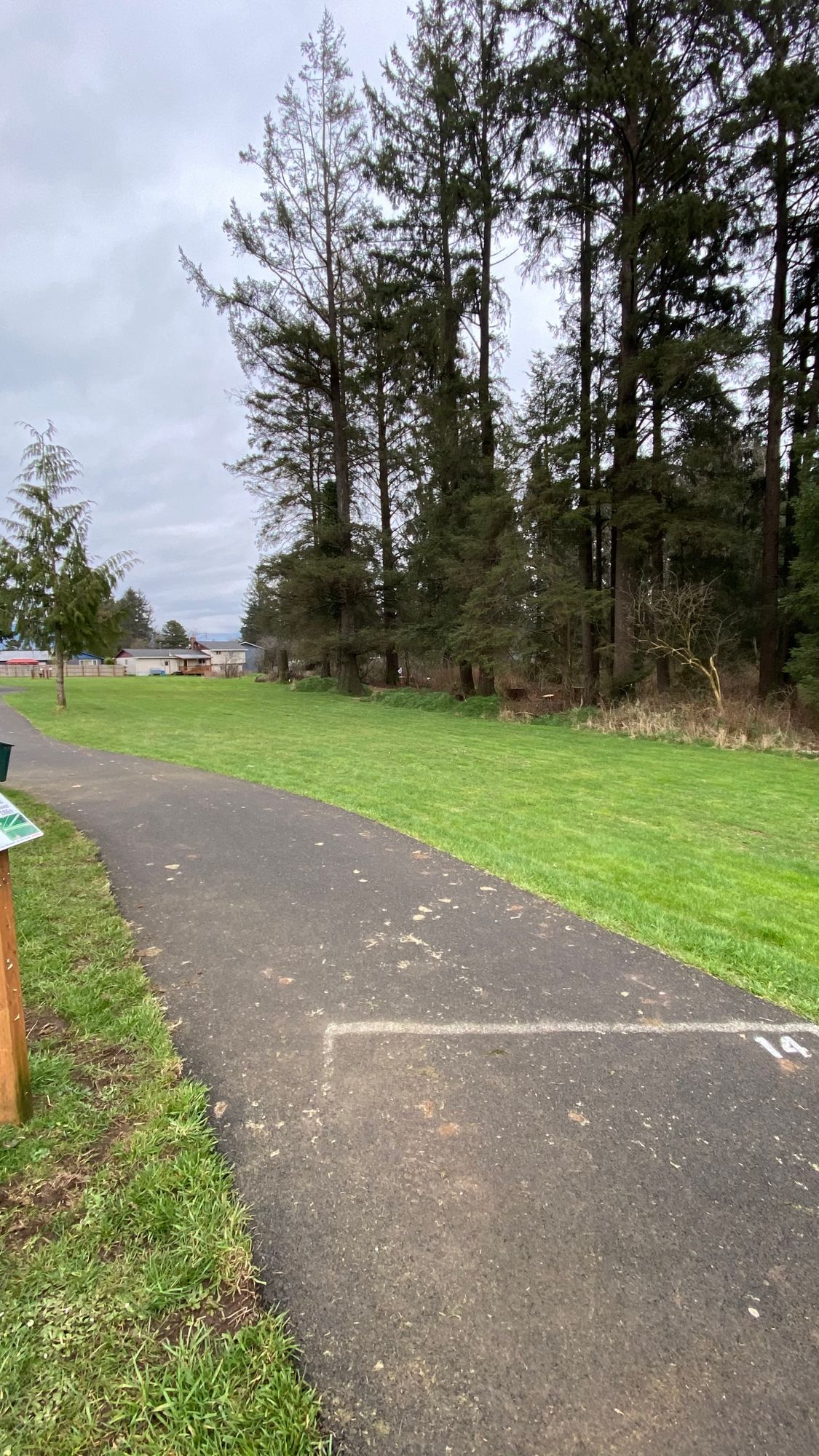 One of the holes where the basket is in the trees. Zoom in. You’ll see it.
