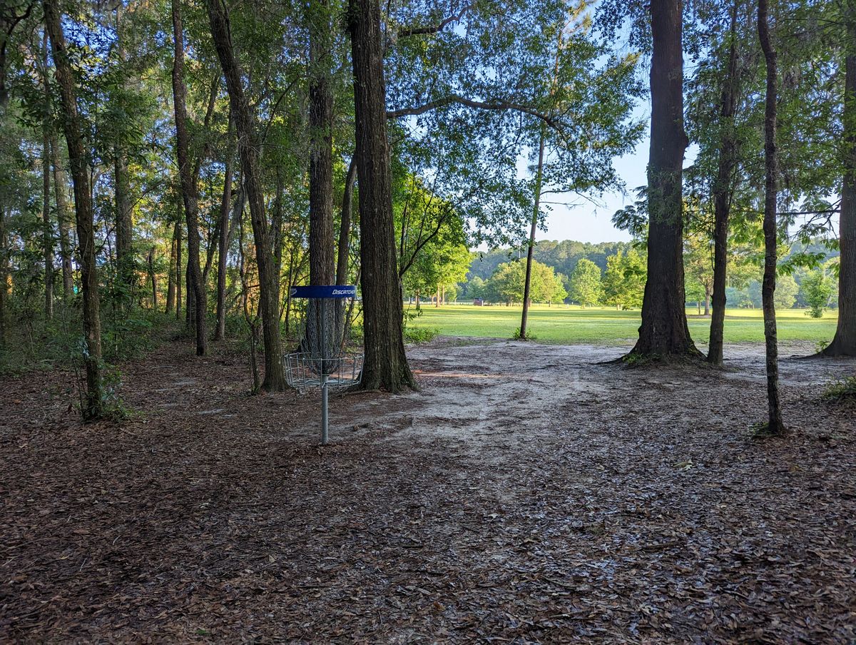 Deep basket position looking back up the fairway towards the tee pad.