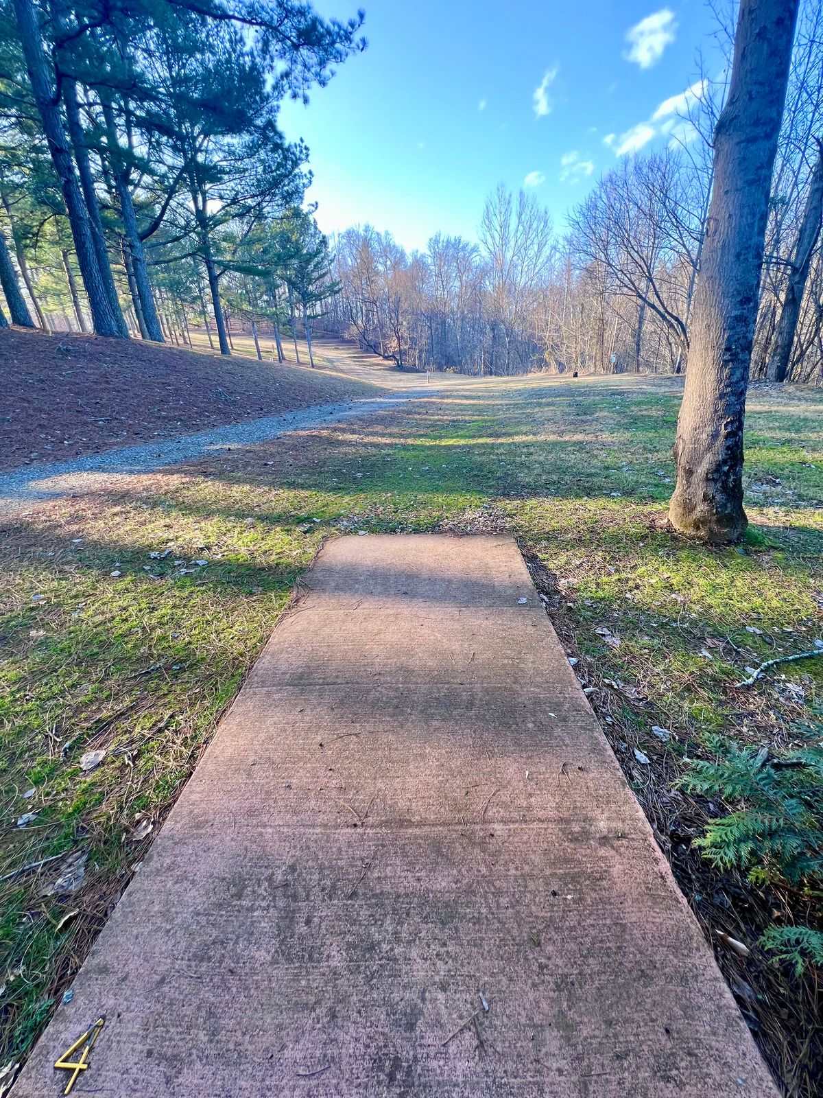 Hole 4 Gold Tee Pad/Fairway.