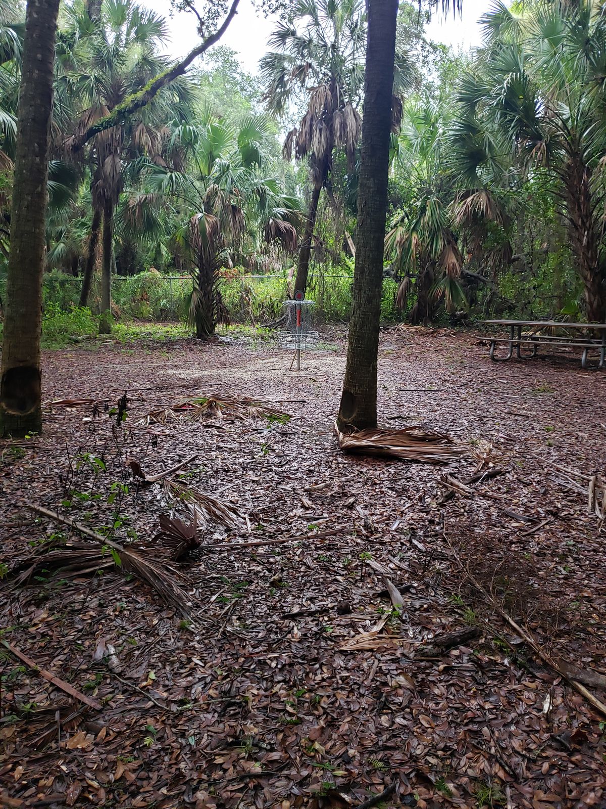 Hole 5 Fairway and Circle
