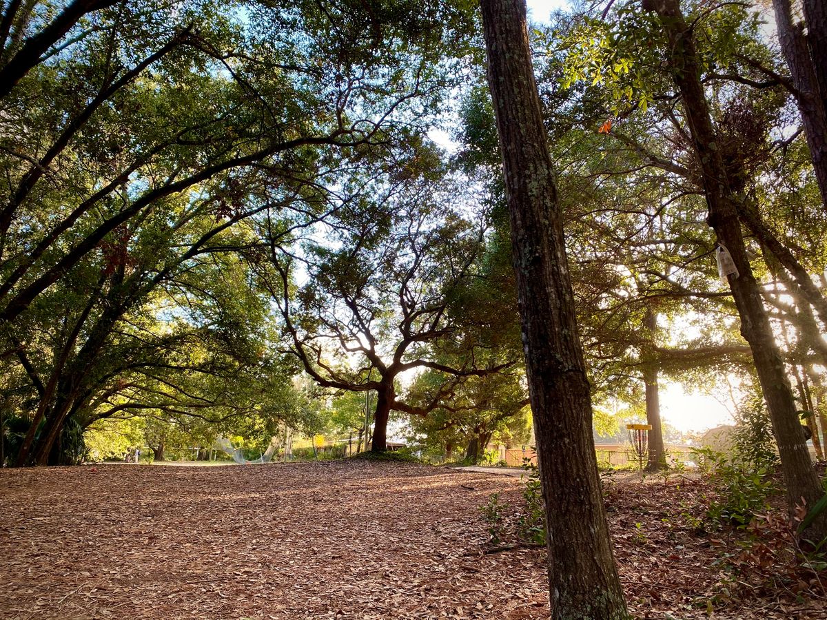 Hole 4