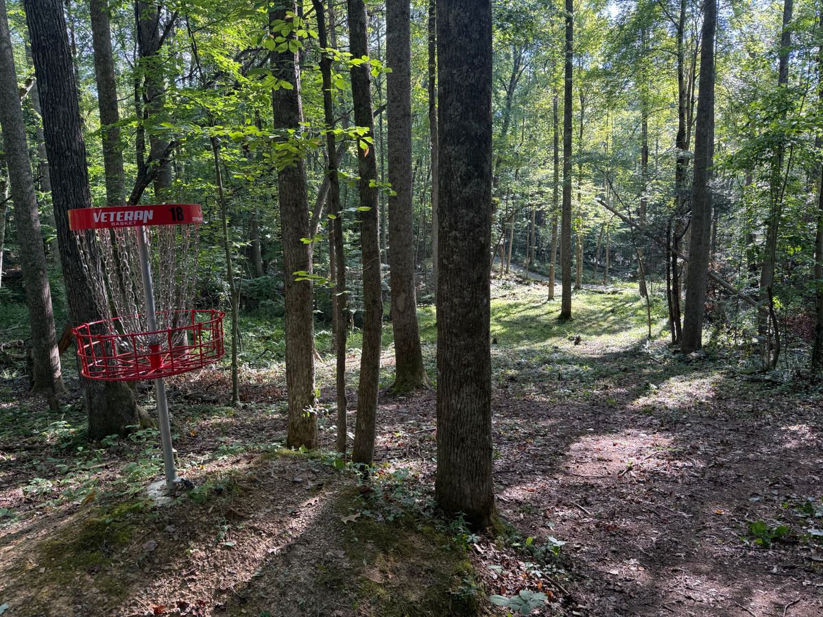 Hole 18 looking back from the basket.