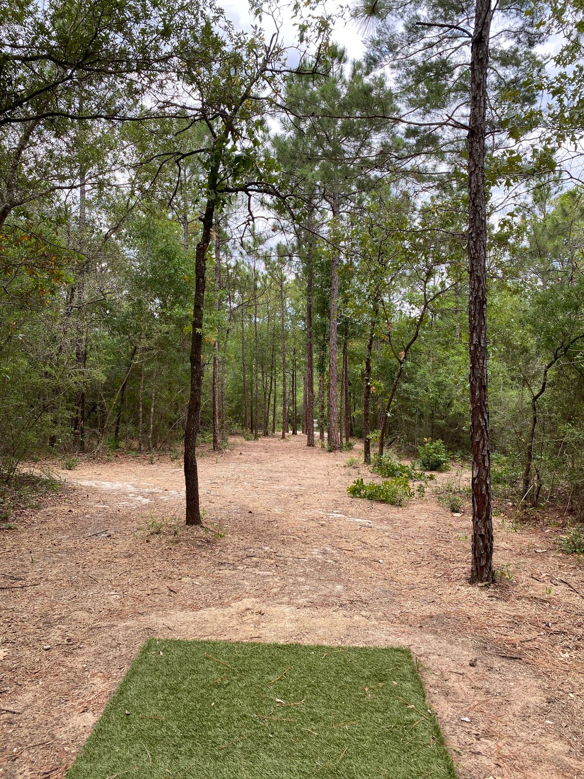 Hole 12