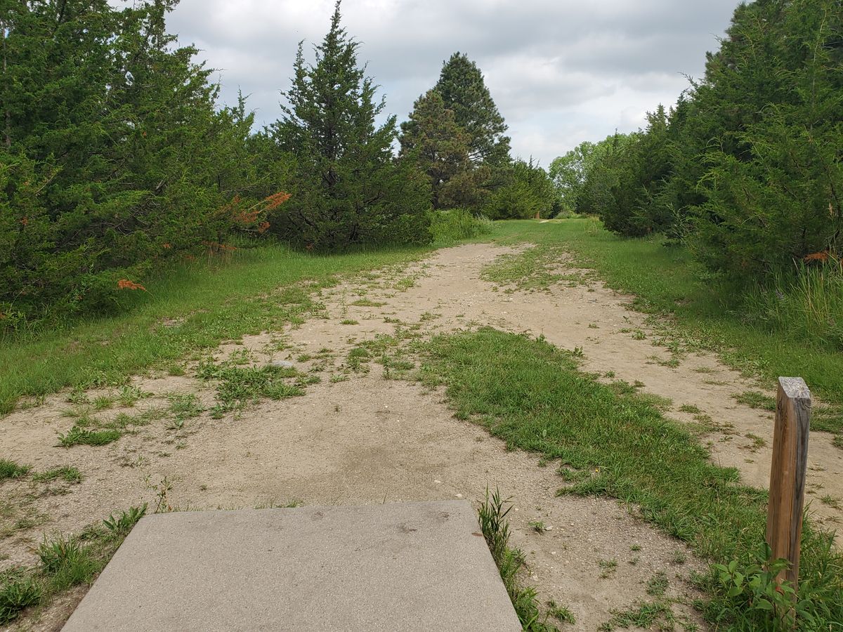 Hole 13 (basket just to the left of big tree at 1 o'clock)
