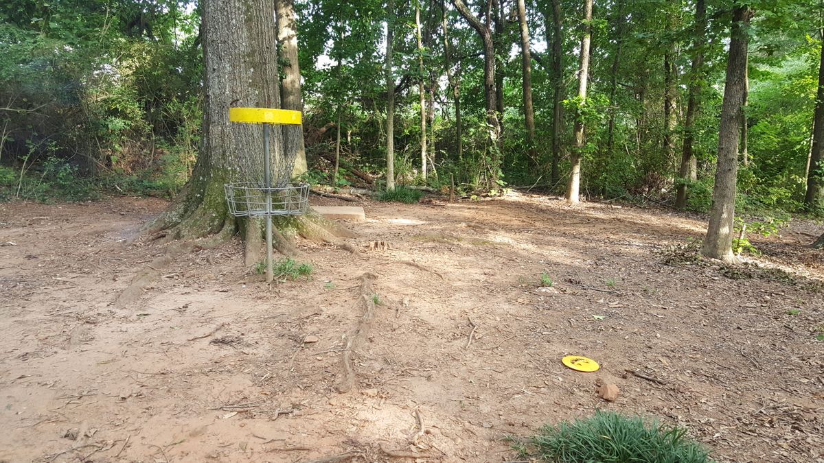 Hole 2: Basket