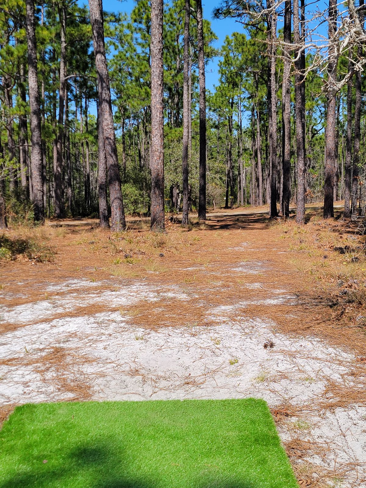 Hole 15 tee