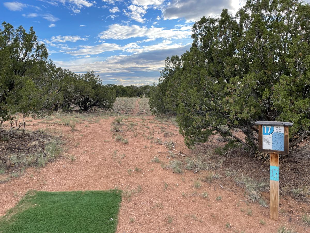 Hole 17 Pro tee pad