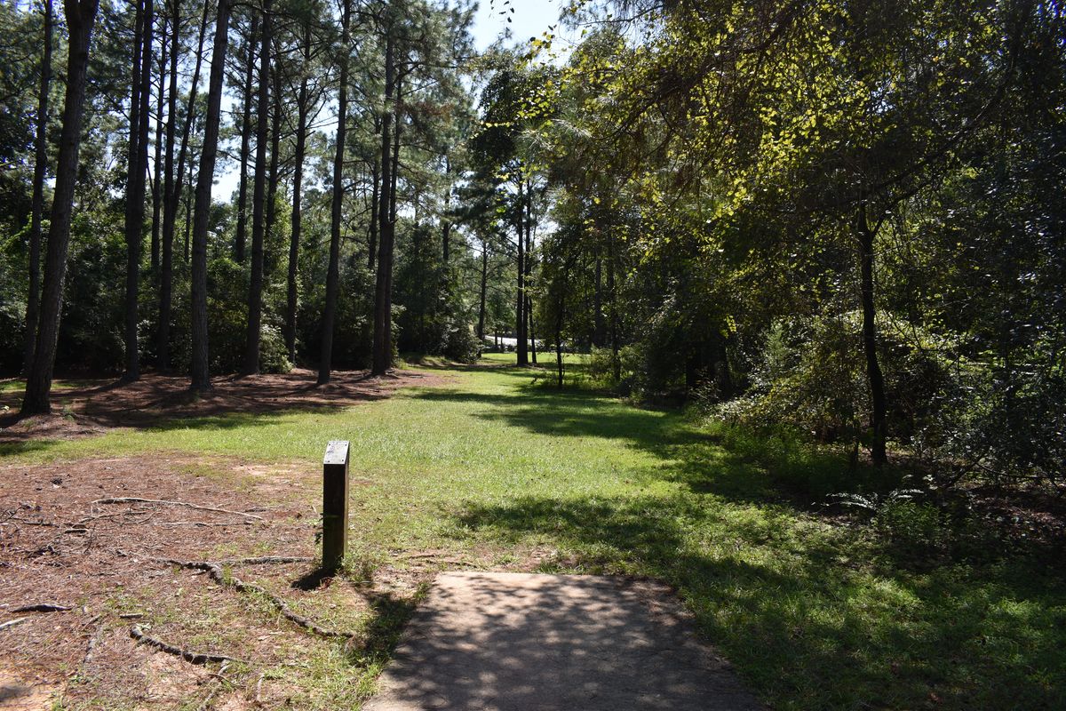 Hole 2’s Tee