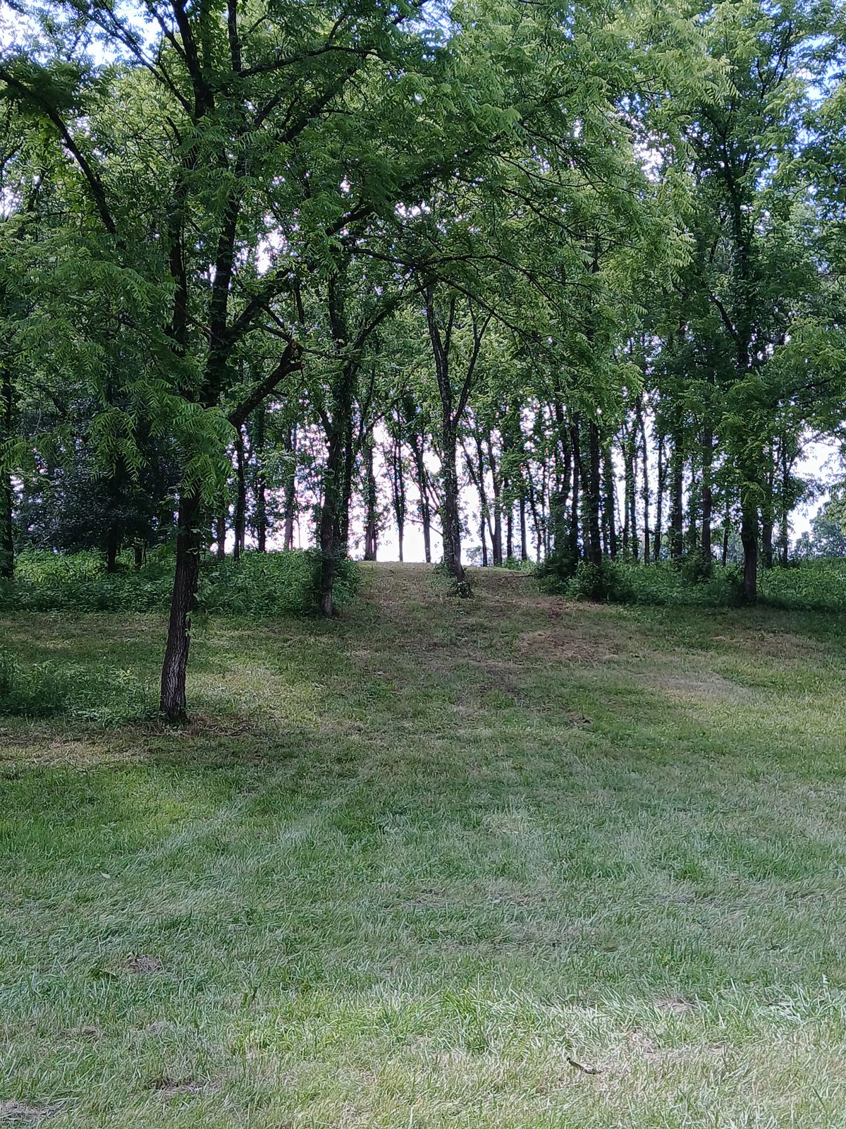 Hole 5 Tee