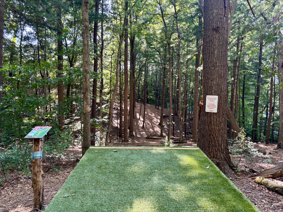 Hole 8 (Short pad)