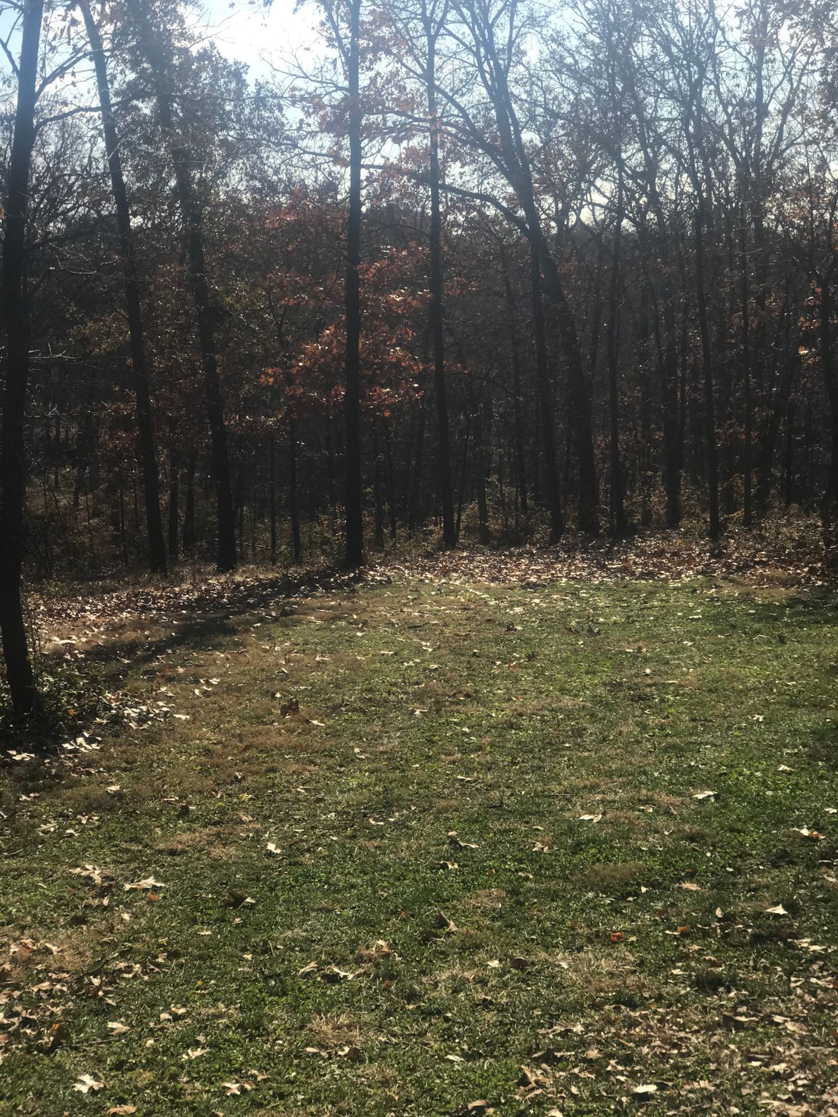 Hole 2 from tee.