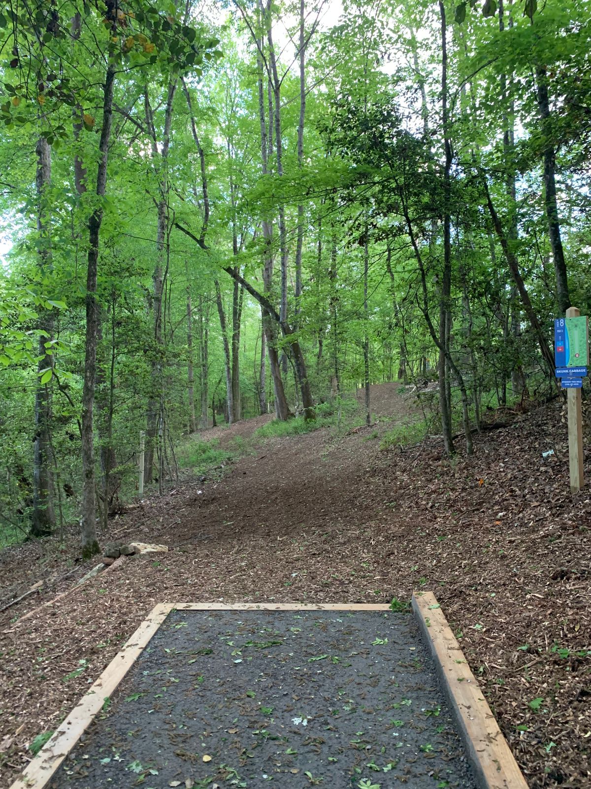 Tee Box Hole #8