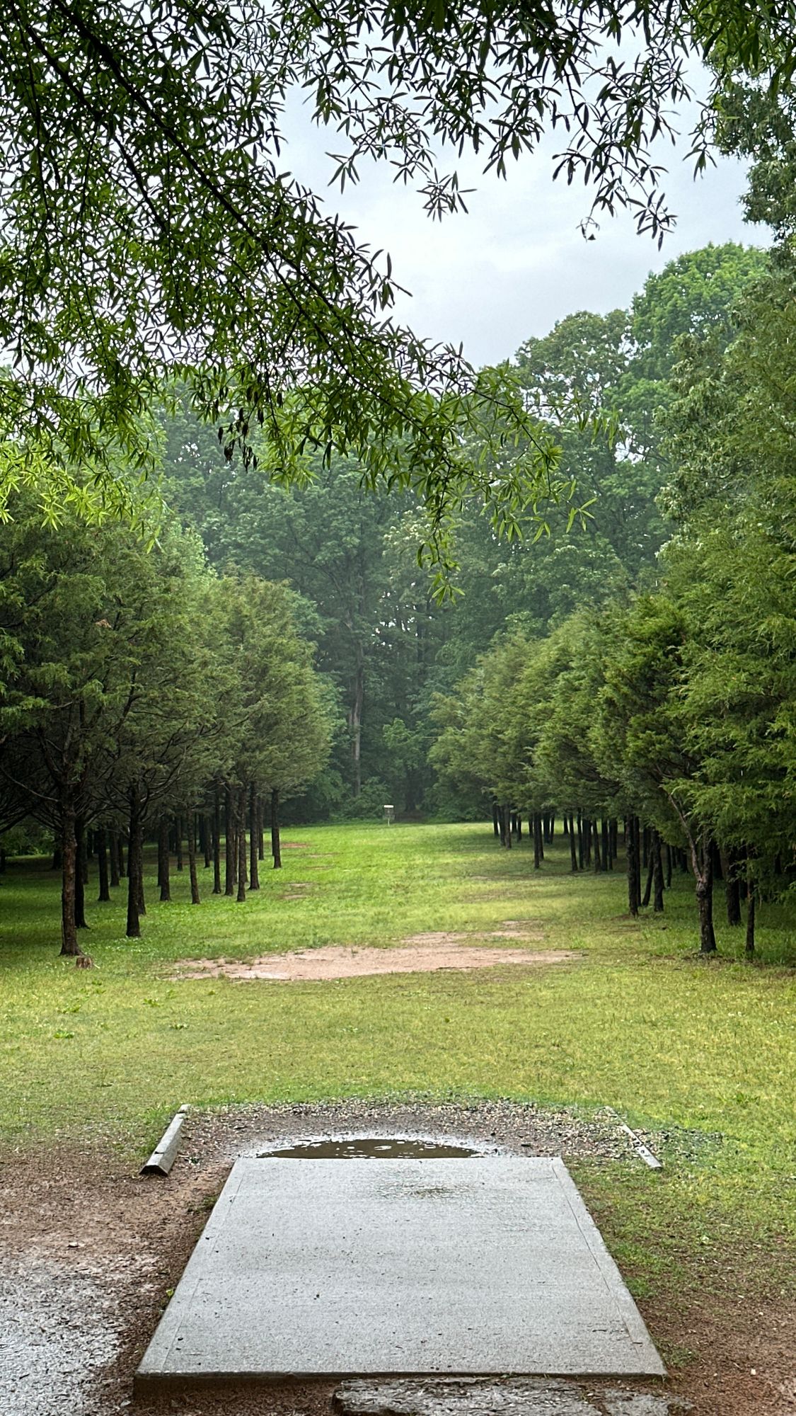 Hole 8 | May 2024