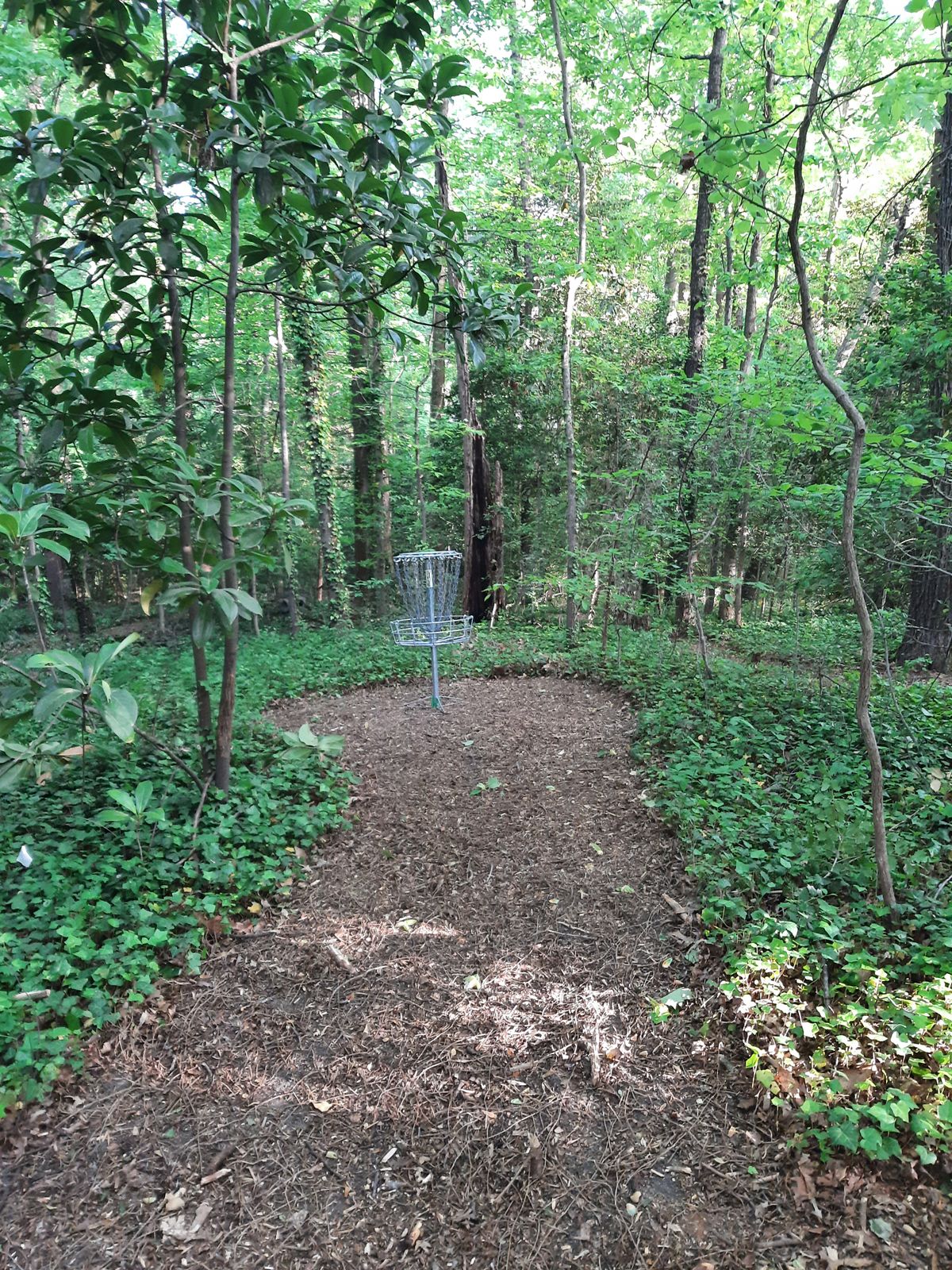 Hole 20 Green B Pin