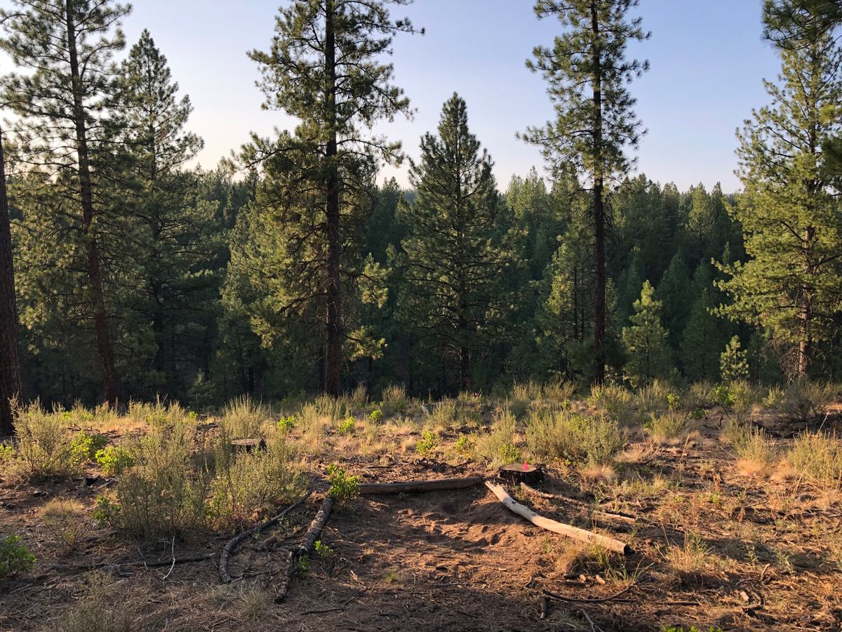 Hole 1 Long Tee