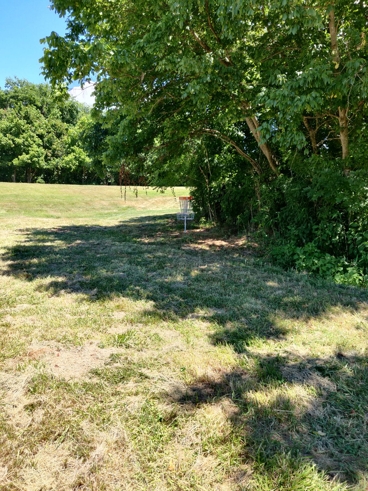 Hole 15 basket from the fairway.
