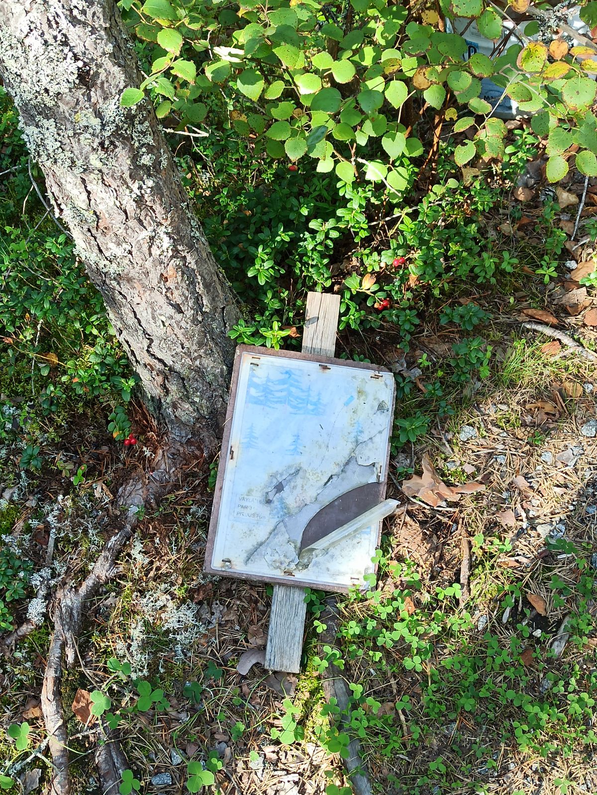 Väyläopasteet tip-top kunnossa