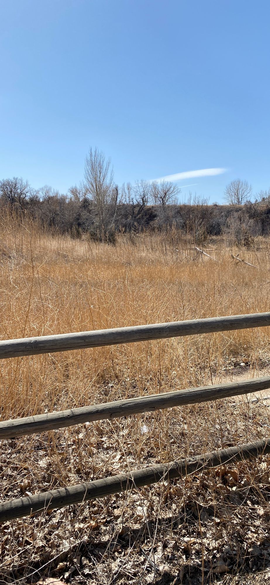 Hole 6 main 9/ Hole 9 winter 12