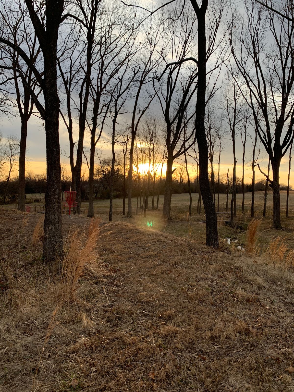 Hole 3 basket perched on hill next to pond