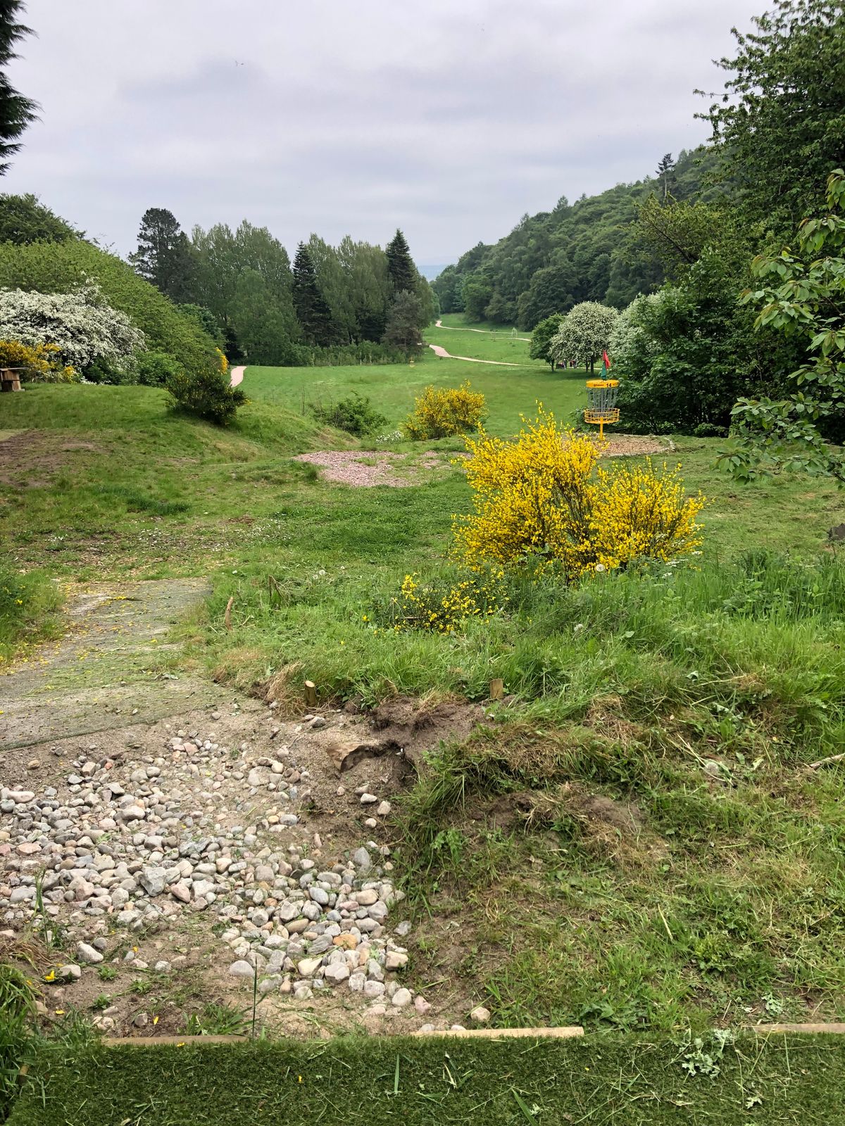 To the side of Hole 15 tee with Hole 14 basket nearby