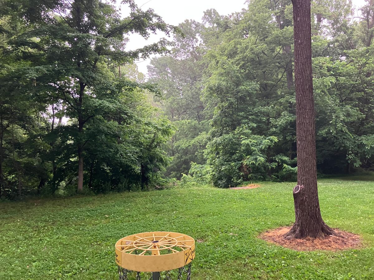 Hole 4 Basket looking through the window at the tee box.