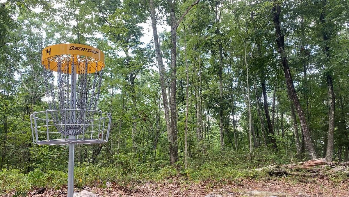 Basket 14