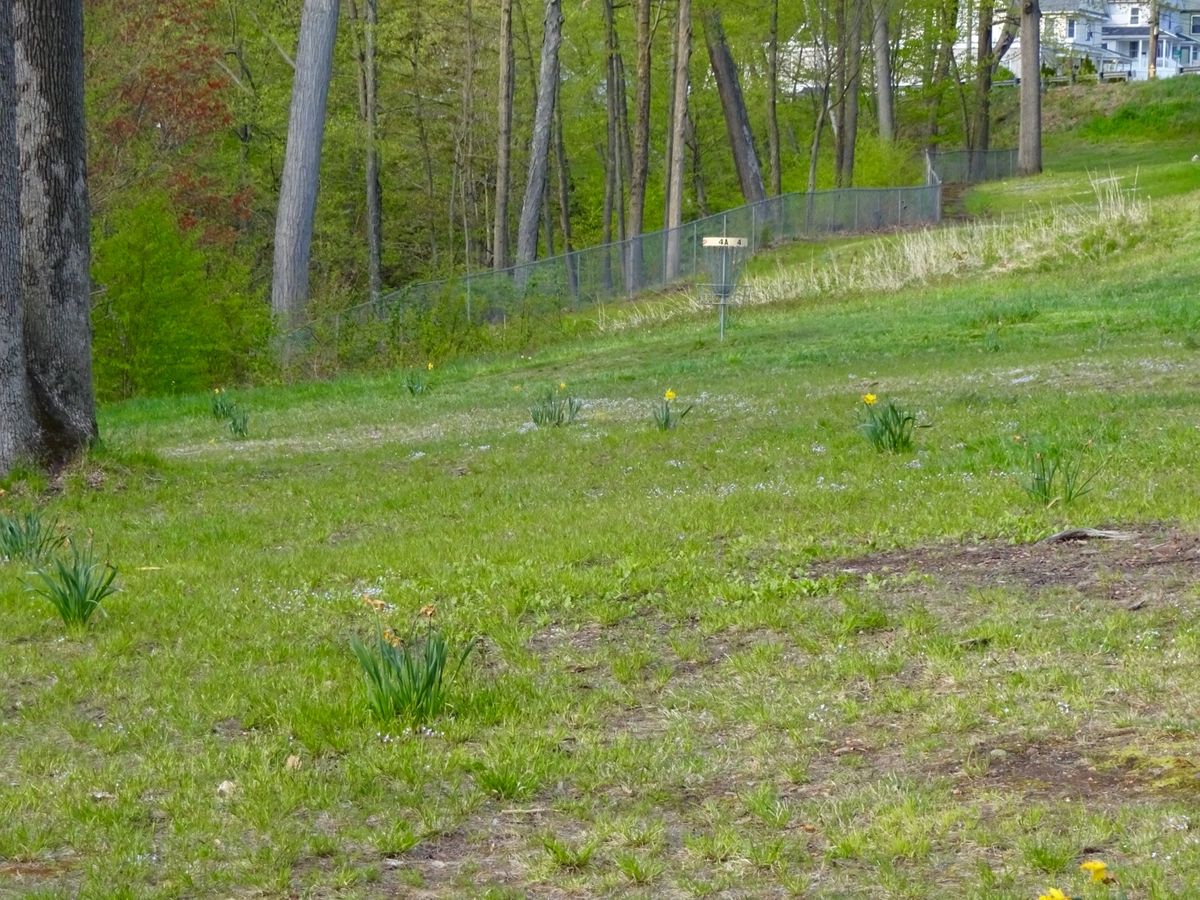 Hole 4A