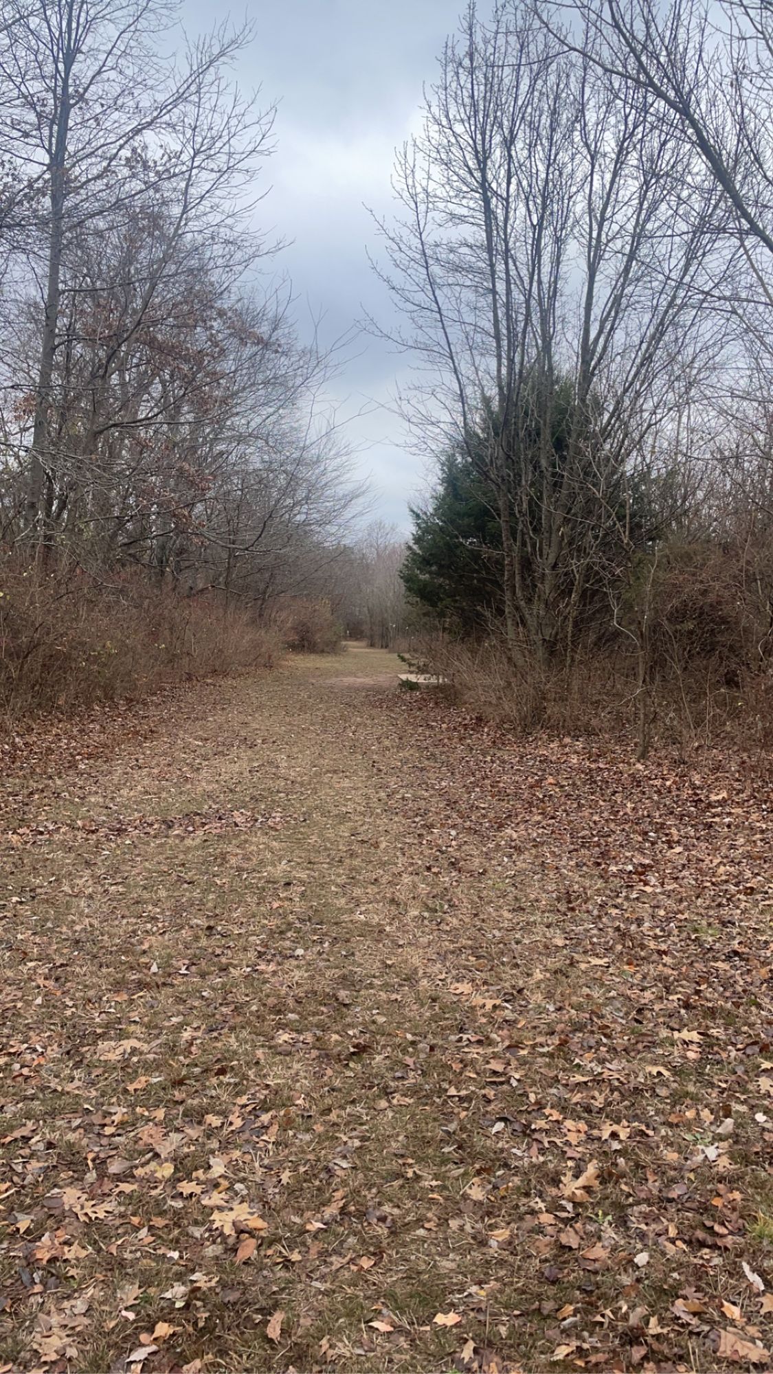 Tee of hole 4