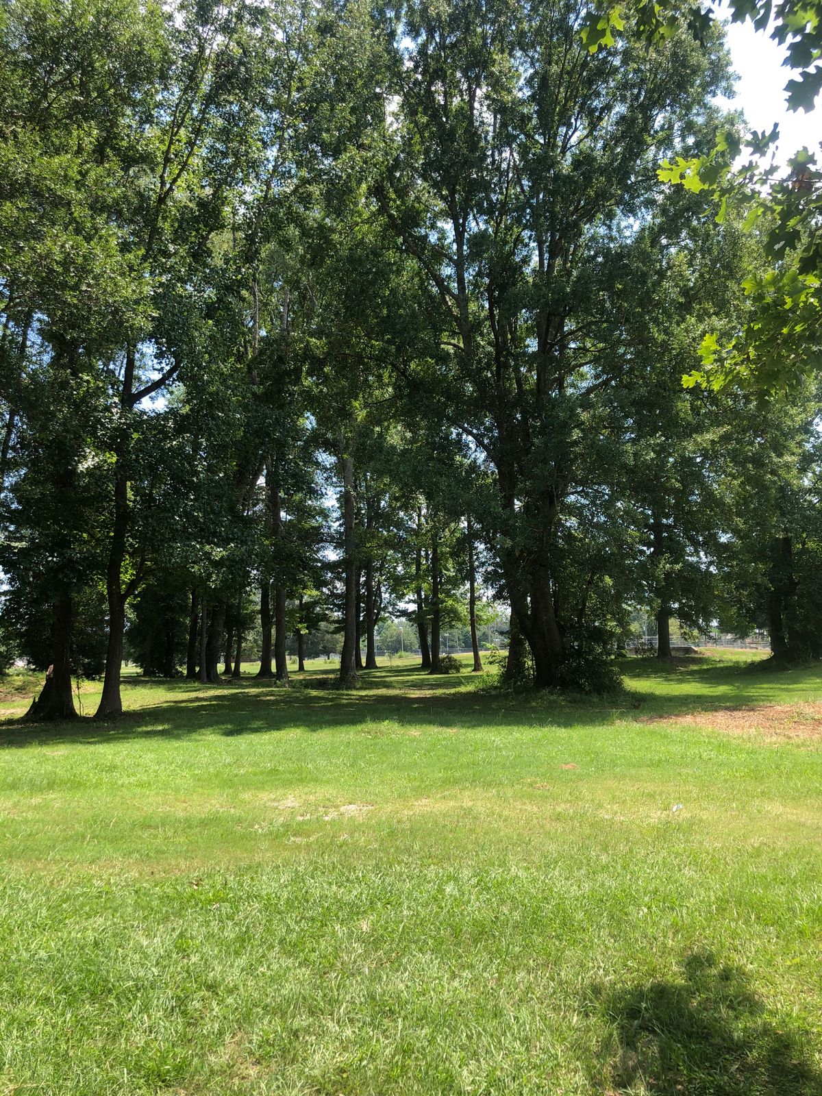 Hole 15