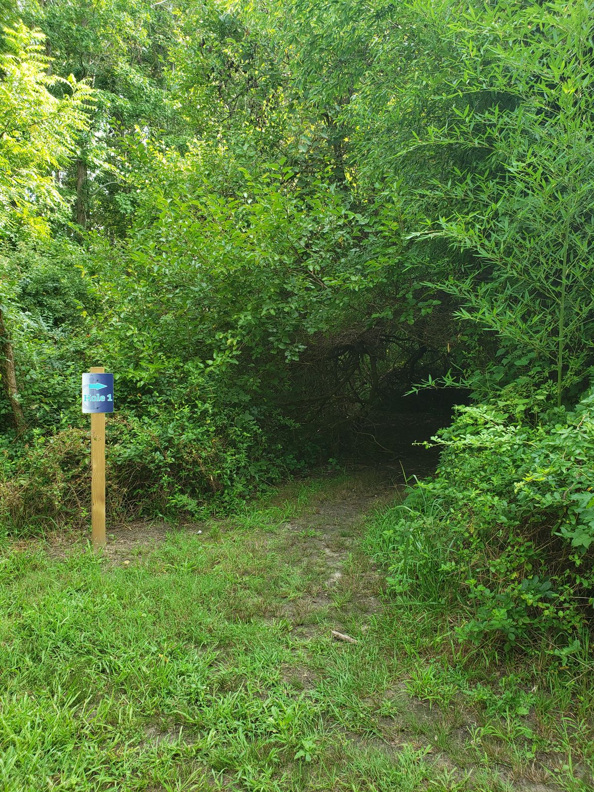Path to hole 1
