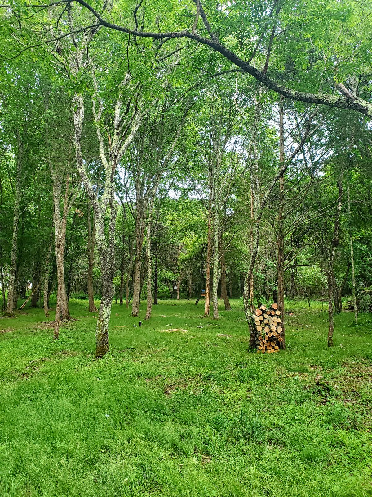 Hole 10 fairway
