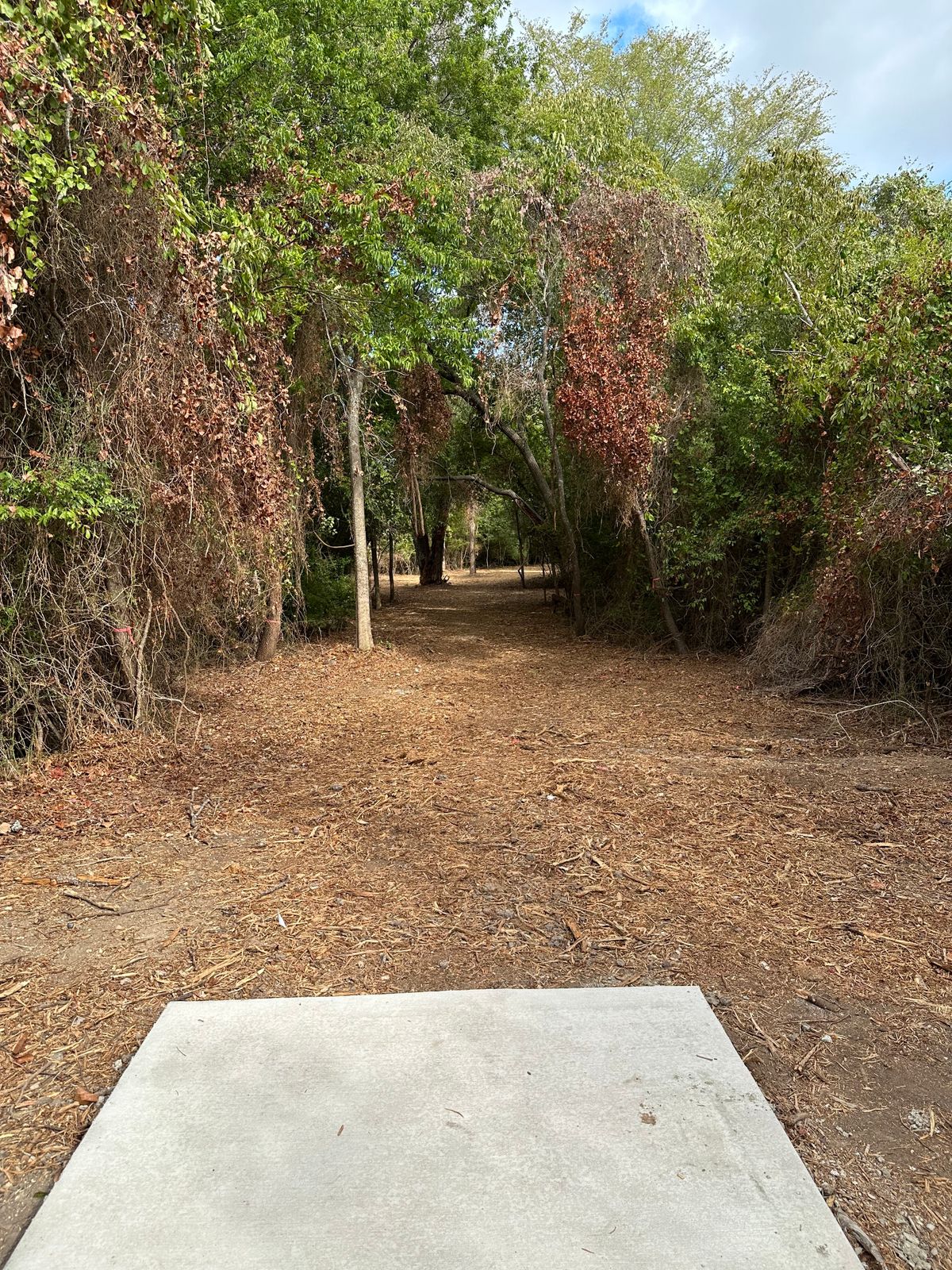 Hole 18 teepad